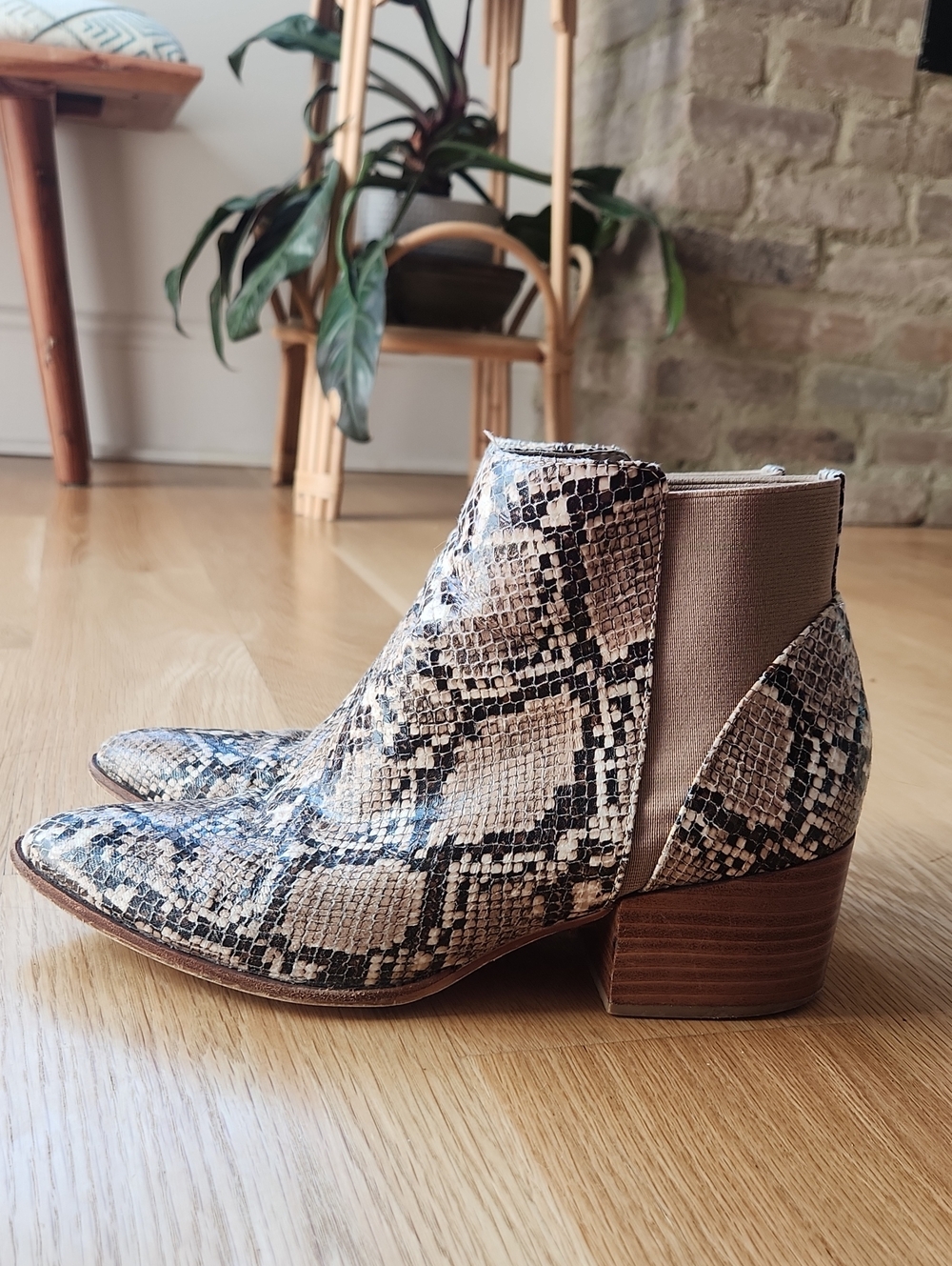 Chinese Laundry Snakeskin Print Ankle Boots Brown & Black US 8.5